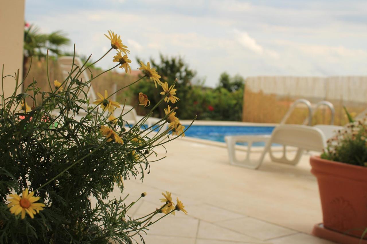 Apartman Robi Нова-Вас Экстерьер фото